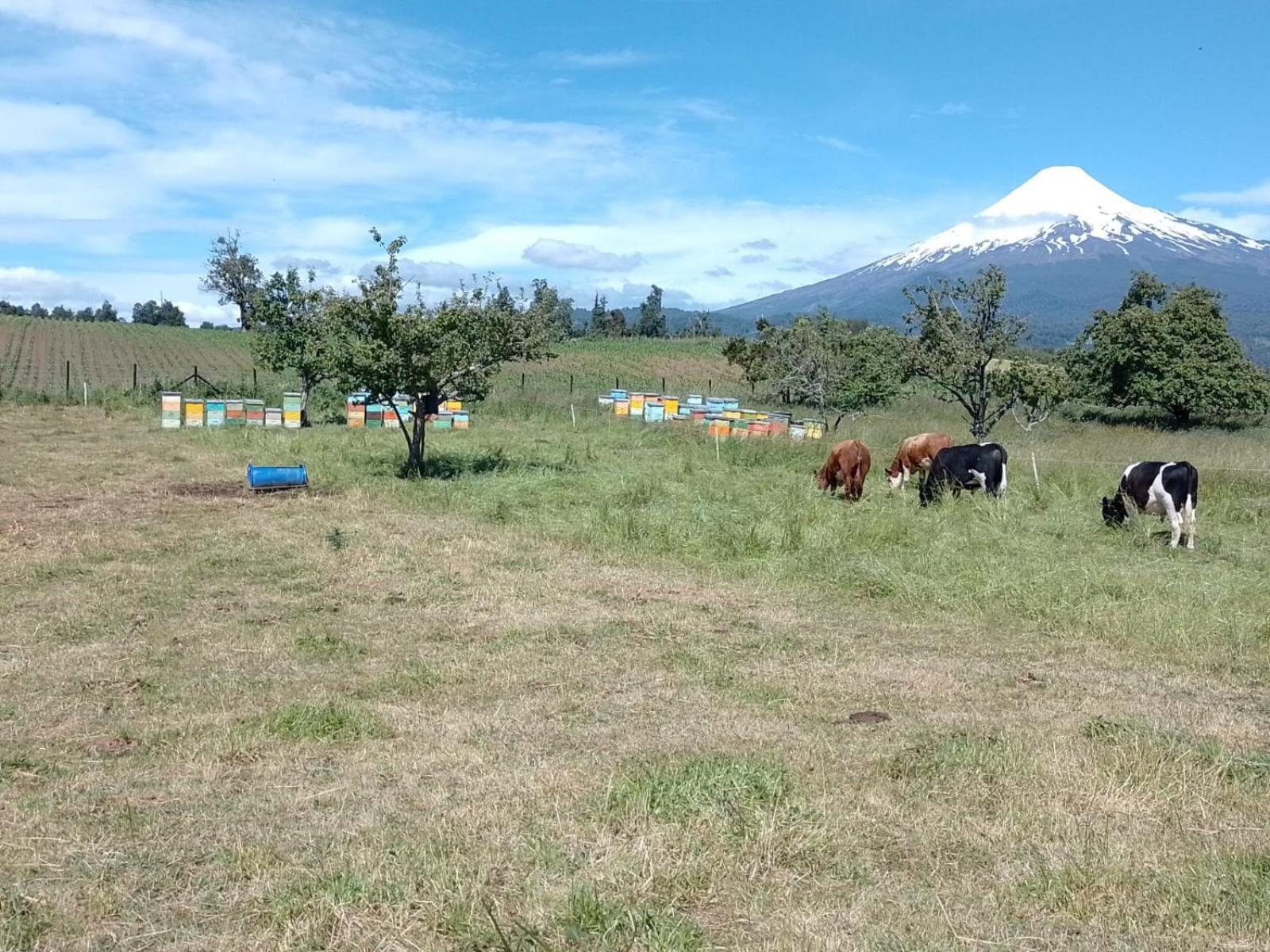 La Posada Del Colono Puerto Clocker 외부 사진